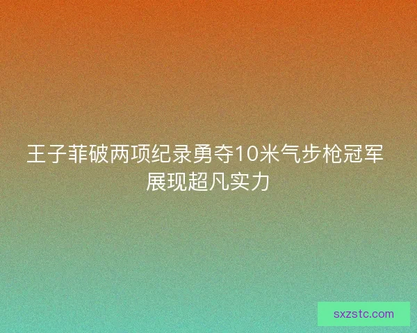 王子菲破两项纪录勇夺10米气步枪冠军 展现超凡实力 王子菲破两项纪录勇夺10米气步枪冠军 展现超凡实力